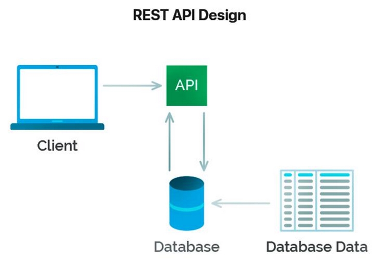 Phần mềm API REST rất phổ biến